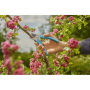 Секатор Gardena EasyCut, 20 мм