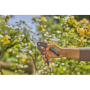 Gardena PremiumCut flex (s-m) плоскостной секатор, срез 24 мм