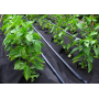 Агроволокно чёрное (спанбонд) 50г/м2 Agreen, ширина 3,2м на метраж
