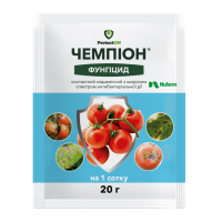 Чемпіон с.п., 20 г