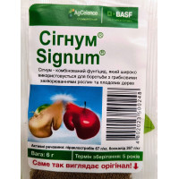 Сигнум, 6 г
