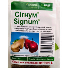 Сигнум, 6 г