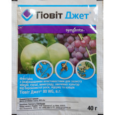 Тиовит Джет 80 WG в.г. (40 гр)