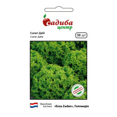 Даби салат Лолло Бионда, Садиба, 30 шт