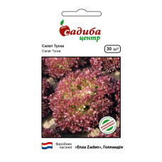 Туска салат Лолло Росса, Садиба, 30 шт