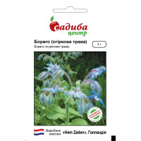Бораго (огуречная трава), семена Садиба, 1 г