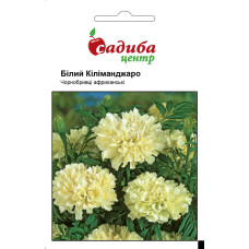 Бархатцы Белый Килиманджаро 0,1г
