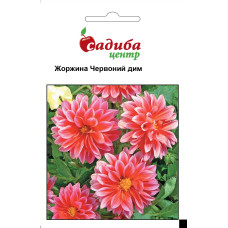 Георгина Красный Дым однолетняя розовая, семена Садиба, 0,1 г