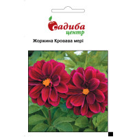 Жоржина Кровава Мері 0,1г