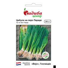 Параде, лук батун 200шт.