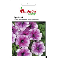 Петуния Бриггита F1, 10 гранул.