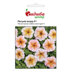 Петуния Ингрид F1, 10 гранул.