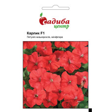 Петуния Карлик F1 красная кустовая, семена Садиба, 10 гранул