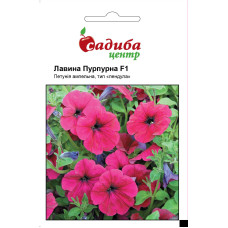Петуния Лавина F1 пурпурная, ампельная, семена Садиба, 10 гранул