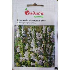 Физостегия виргинская, белая, семена Садиба, 0,1 г