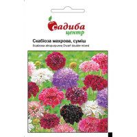 Скабиоза махровая, смесь 0,3г