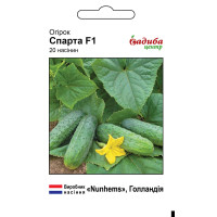 Спарта F1, 20 нас.