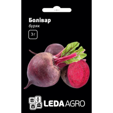 Буряк Боливар среднеспелый, семена Leda Agro, 3 г