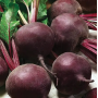 Буряк Детройт, среднеспелый, семена Leda Agro, 10 г
