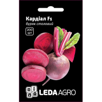 Буряк Кардіал F1 столовий середньоранній, насіння Leda Agro, 200 шт