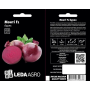 Буряк Монти F1 среднеспелый, семена Leda Agro, 200 шт