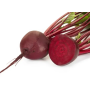 Буряк Родити среднераннйи, семена Leda Agro, 3 г