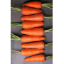Морковь Роял Шантане, семена Leda Agro, 2 г