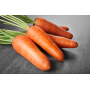 Морковь Шантане Редкор, семена Leda Agro, 2 г