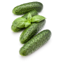 Огурец Елитор F1 самоопыляемый раннеспелый, Leda Agro, 10 шт
