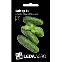 Огірок Елітор F1 самозапильний ранностиглий, Leda Agro, 10 шт