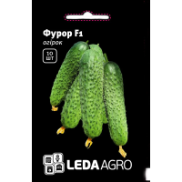 Огурец Фурор F1 раннеспелый самоопыляемый, Leda Agro, 10 шт