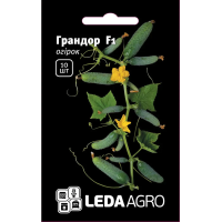 Огурец Грандор F1 очень ранний самоопыляемый, Leda Agro, 10 шт
