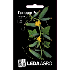 Огурец Грандор F1 очень ранний самоопыляемый, Leda Agro, 10 шт