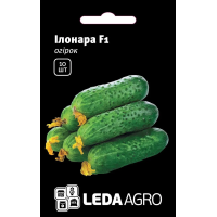 Огурец Илонара F1, ранний партенокарпический, Leda Agro, 10 шт