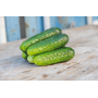Огурец Дерия F1 среднеранний пчелоопыляемый Leda Agro, 10 шт