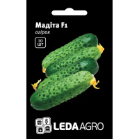 Огірок Мадіта F1 партенокарпічний надранній, насіння Leda Agro, 10 шт