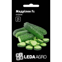 Огурец Мадрилен F1 самоопіляемый очень ранний гибрид, Leda Agro, 10 шт