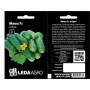 Огурец Маша F1 ранний самоопыляемый, Leda Agro, 10 шт