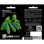 Огурец Пикскор F1 самоопыляемый среднеранний, Leda Agro, 10 шт