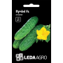 Огірок Пучіні F1 середньостиглий самозапильний, насіння Leda Agro, 10 шт