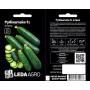 Огурец Рубинштейн F1 самоопыляемый среднеранний, семена Leda Agro, 10 шт