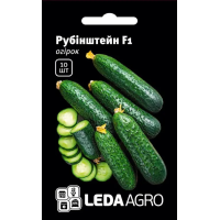 Огурец Рубинштейн F1 самоопыляемый среднеранний, семена Leda Agro, 10 шт
