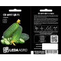 Огурец СВ 4097 ЦВ F1 самоопыляемый раннеспелый, Leda Agro, 10 шт