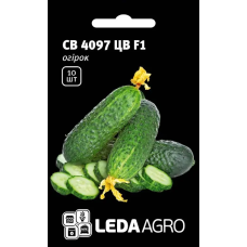 Огурец СВ 4097 ЦВ F1 самоопыляемый раннеспелый, Leda Agro, 10 шт