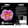 Анемона Японская розовая многолетняя, семена Leda Agro, 10 шт