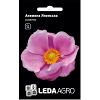 Анемона Японская розовая многолетняя, семена Leda Agro, 10 шт