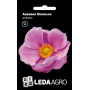 Анемона Японская розовая многолетняя, семена Leda Agro, 10 шт