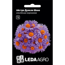 Айстра Дункле Шоне альпийская карликовая фиолетовая, семена Leda Agro, 10 шт Айстра Дункле Шоне альпийская карликовая фиолетовая, семена Leda Agro, 10 шт