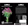 Деревий Вишневая Королева пурпурный многолетник, семена Leda Agro, 0,1 г