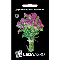 Деревій Вишнева Королева пурпуровий багаторічник, насіння Leda Agro, 0,1 г